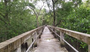 Is 1 day enough for Sundarban?